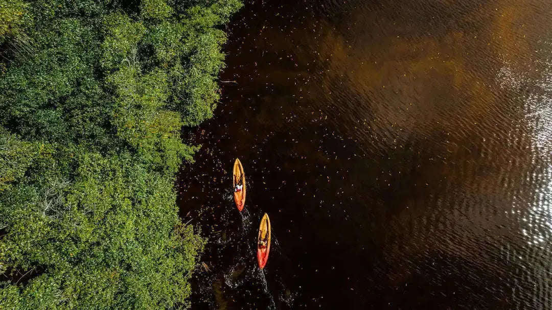 Sustainable Sports: Embracing Eco-Friendly Practices 