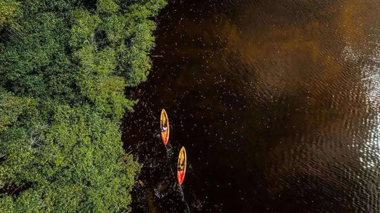 Sustainable Sports: Embracing Eco-Friendly Practices 