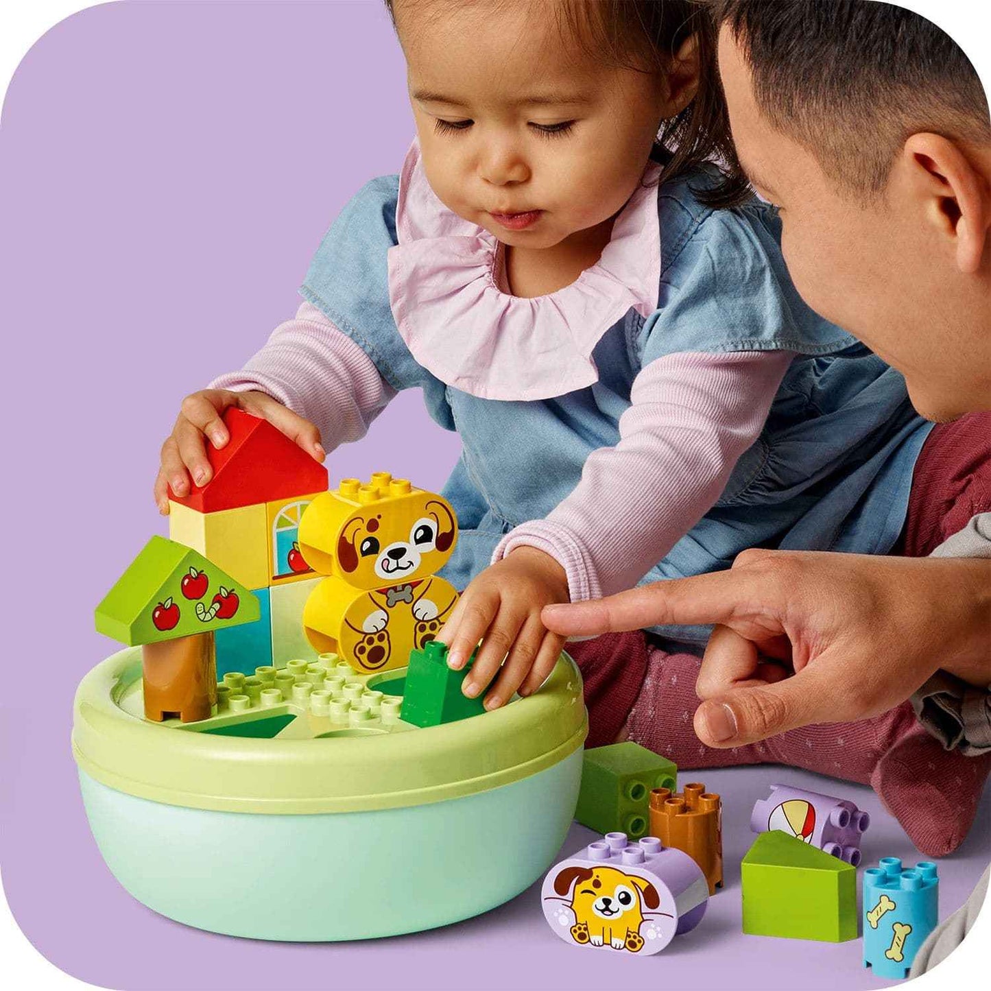 Duplo Shape Sorter Puppy House for Early Learning Fun Toys & Games > Toys > Construction Toys > Interlocking Blocks > LEGO > LEGO Duplo