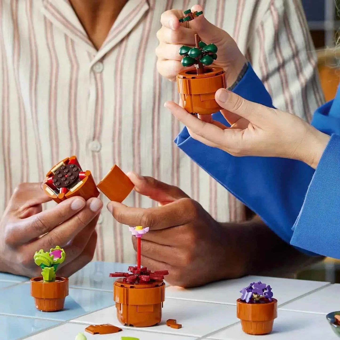 Lego Botanicals Tiny Plants Toys & Games > Toys > Construction Toys > Interlocking Blocks > LEGO > LEGO Icons