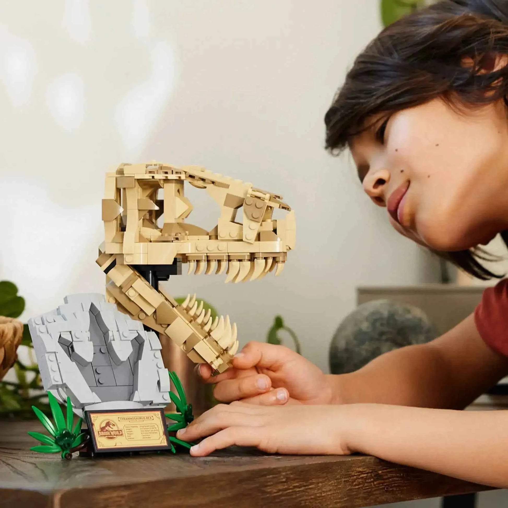 Lego Jurassic World Dinosaur Fossils: T.rex Skull Toys & Games > Toys > Construction Toys > Interlocking Blocks > LEGO > LEGO Jurassic Park