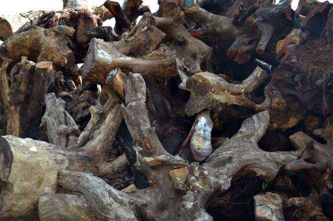 Natural Wooden Ashtray for Stylish Smoking Experience Kitchen