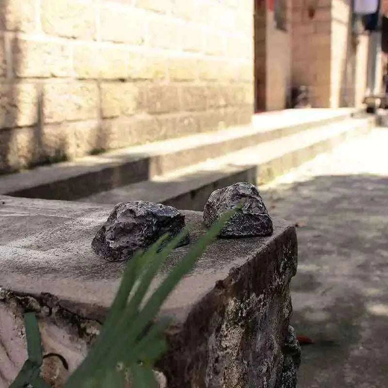 Spare Key Hiding Rock for Discreet Outdoor Key Storage Home & Garden