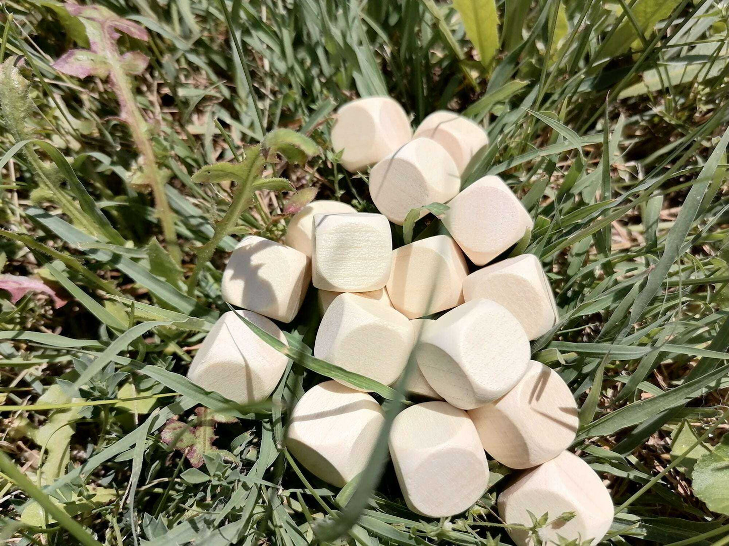 Wooden Blank Dice - Unpainted Beech Arts and Crafts Blanks Adults